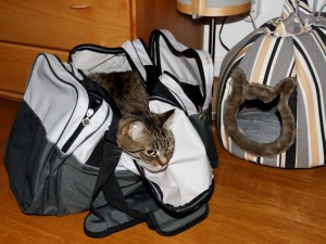 Belly veut repartir Belly veut repartir